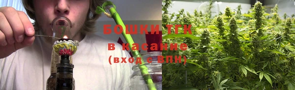 молекула духа Алексеевка
